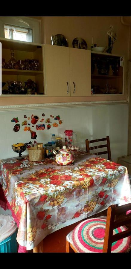 Guest House Dodo คัซเบกี ภายนอก รูปภาพ